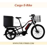 2018 new but hot cargo e-bike/delivery cargo bike/cargo electric bike for sale